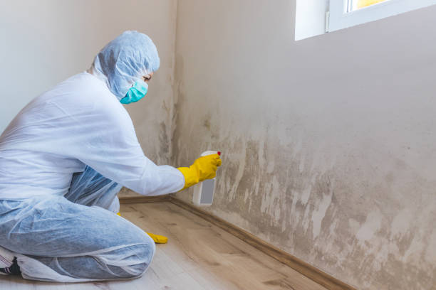 Commercial Mold Remediation assessment for commercial property in Piney Point