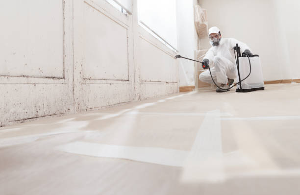Black mold remediation team in Piney Point